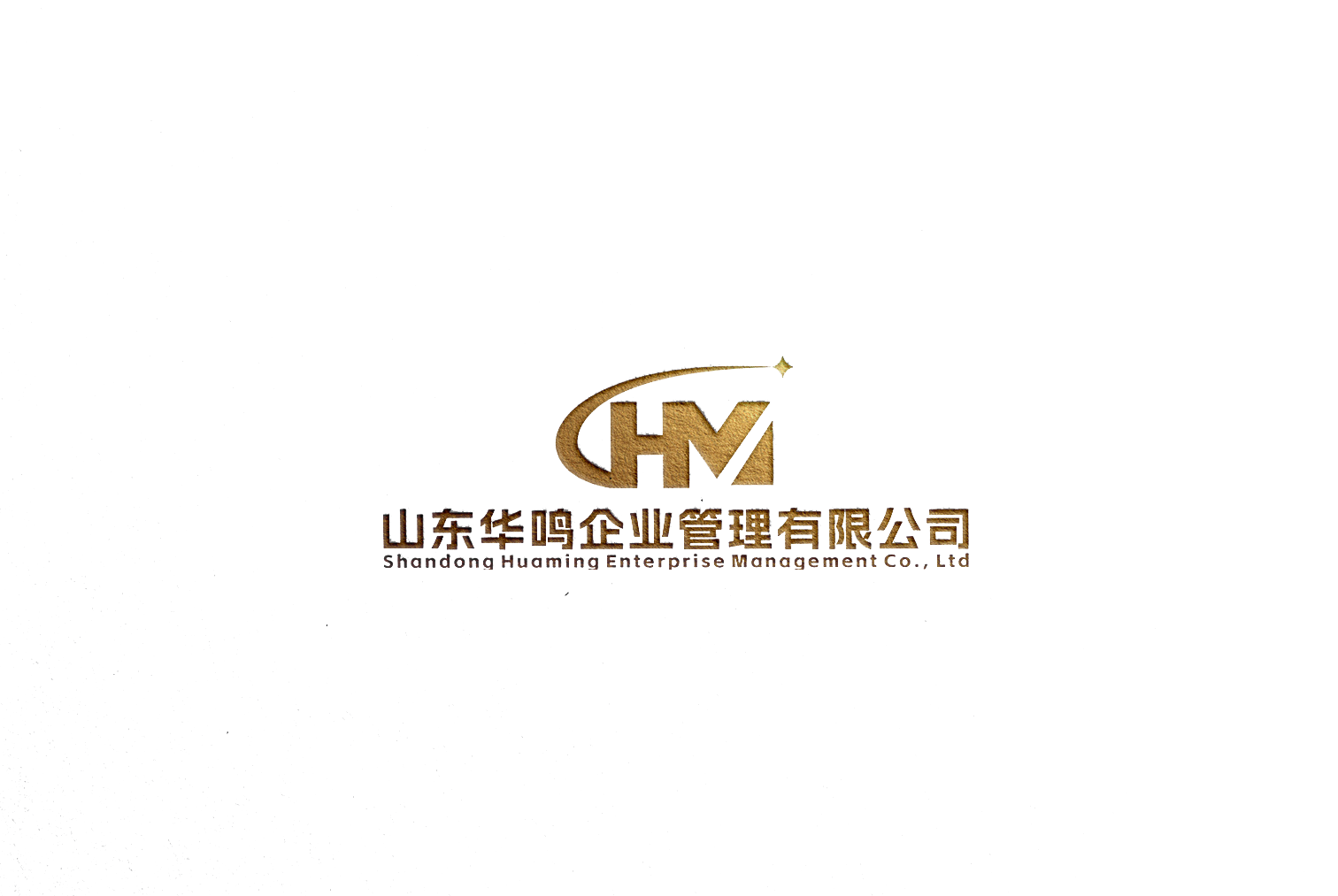 公司logo